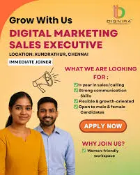 Dignira Marketing Pvt Ltd